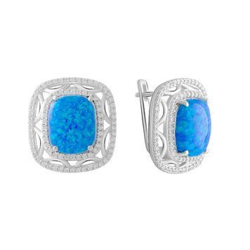 Срібні сережки з опалом 4.238ct (2075110) 2075110 фото